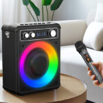 Karaoke Machine with 2 Wireless Microphones