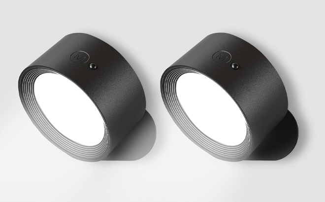 LED Wall Mounted Lights 2 Pack