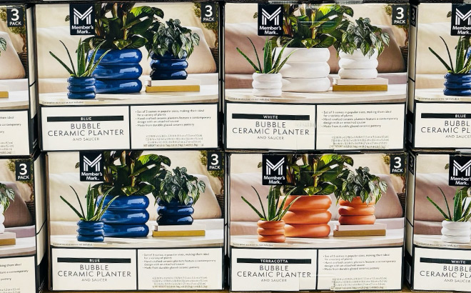 Members Mark Bubble Ceramic Planters