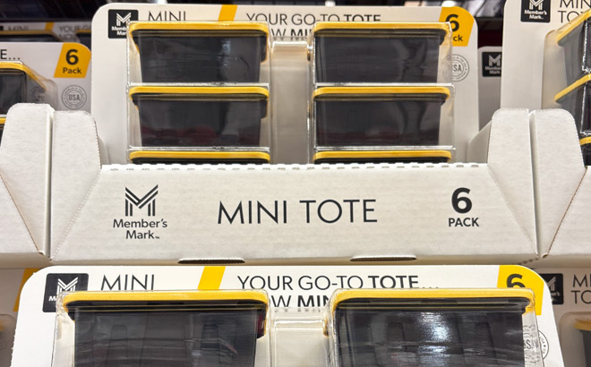 Members Mark Mini Tote 6 Pack Members Mark Mini Tote 6 Pack