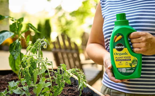 Miracle Gro Plant Food