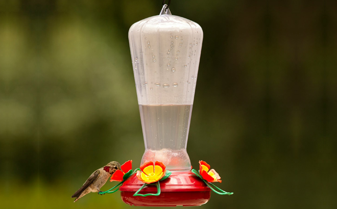 More Birds Hollyhock Hummingbird Feeder More Birds Hollyhock Hummingbird Feeder