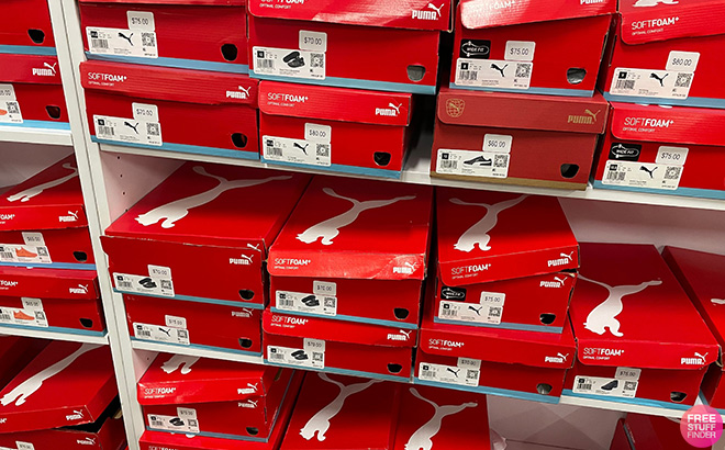 Puma Overview