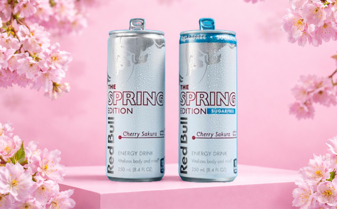 RedBull Spring Edition Cherry Sakura and Sugar Free