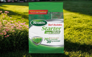 Scotts Turf Builder 42 Pound Starter Lawn Food Bag