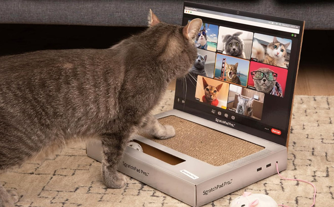 ScratchPad Pro Cardboard Laptop Cat Scratcher ScratchPad Pro Cardboard Laptop Cat Scratcher