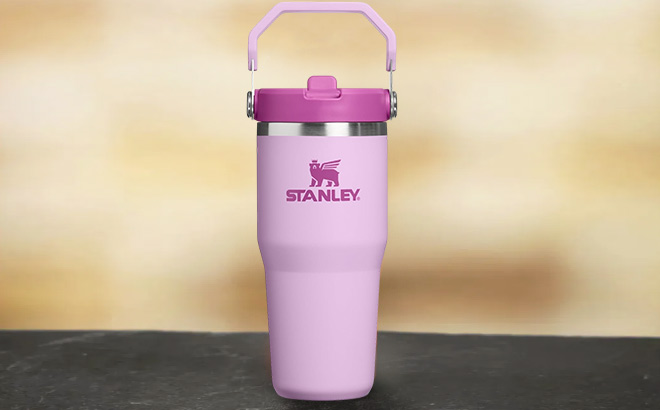 Stanley IceFlow 2 0 Flip Straw Tumbler