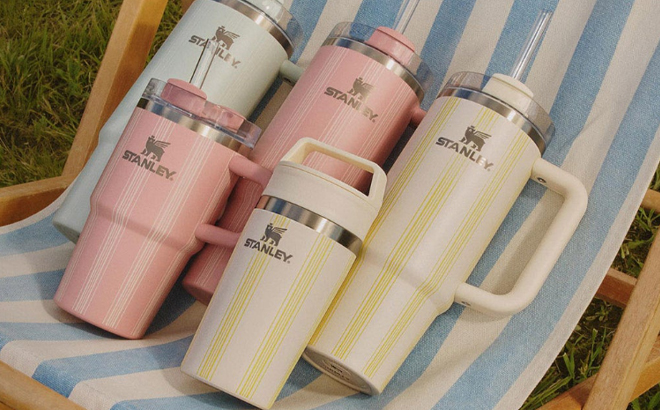 Stanley New Spring Picnic Collection Tumblers on a Chair