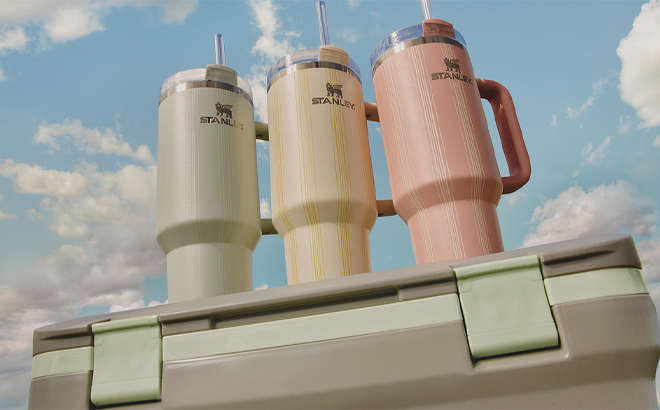 Stanley New Spring Picnic Collection Tumblers on a Cooler