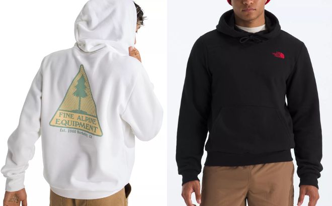 The North Face Mens Evolution Mountain Woods Graphic Hoodie