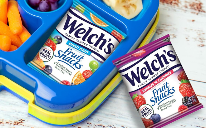 Welchs Fruit Snacks