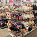 Womens Bras Overview