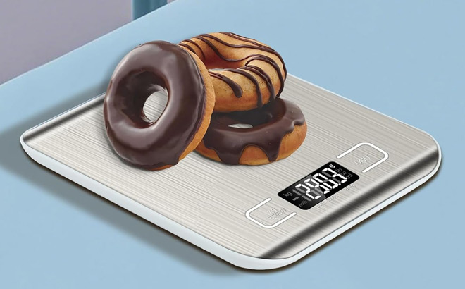 11 lb Kitchen Scale