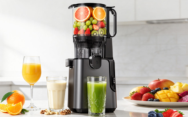 2 in 1 Cold Press Juicer Machine