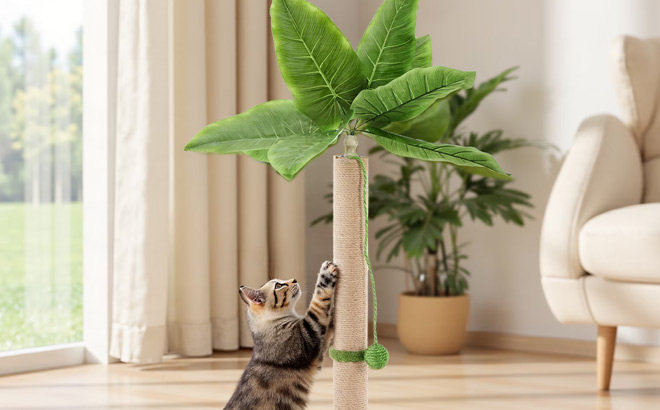 33 Inch Cat Scratching Post