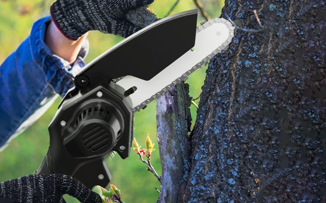 A Person Holding Tanbaby 6 inch Mini Chainsaw