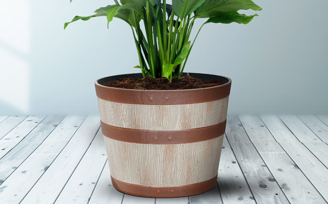 Better Homes Gardens Resin Planter on the Floor