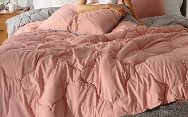 Comfort Spaces Vixie 3 Piece Reversible Comforter Set