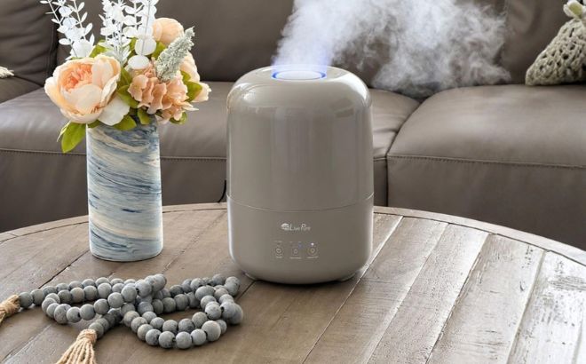 LivePure CoolMist Aquaflame Humidifier LivePure CoolMist Aquaflame Humidifier