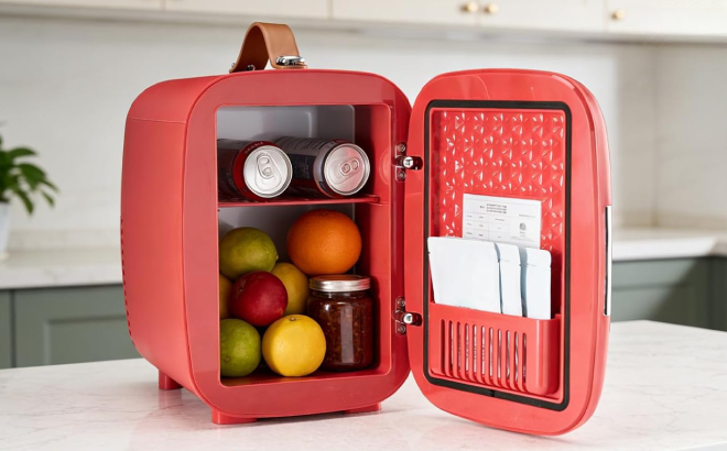 Mini Fridge