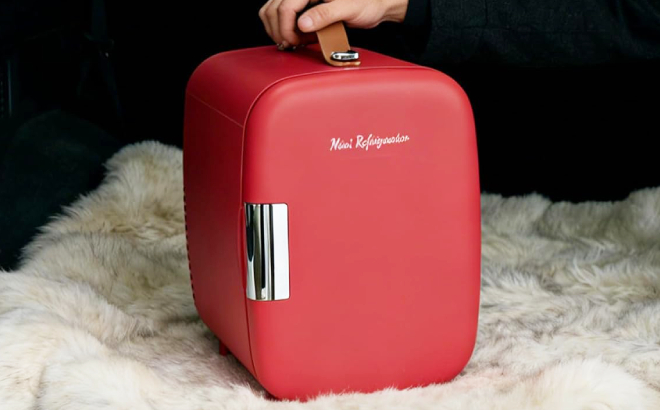 NEWBULIG Mini Fridge