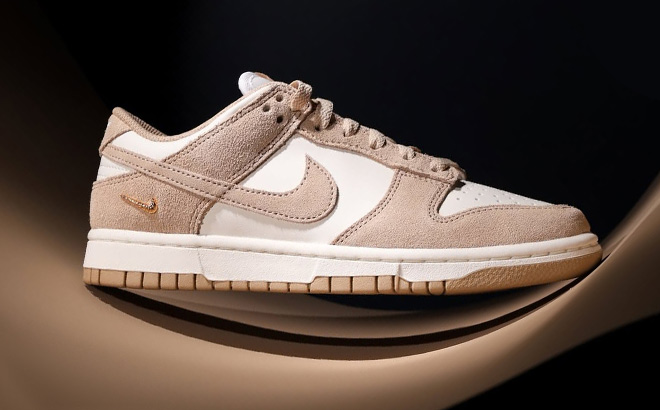 Nike Dunk Suede Shoes