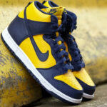 Nike Mens Dunk High Retro SE Shoes