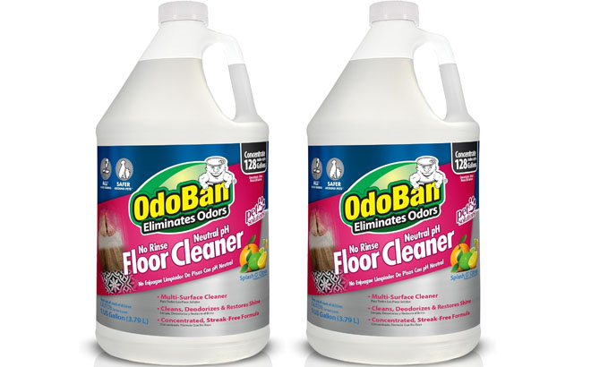 OdoBan Floor Cleaner 2 Pack