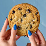 Potbelly Cookie
