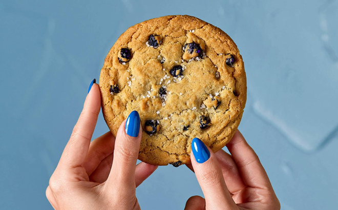 Potbelly Cookie
