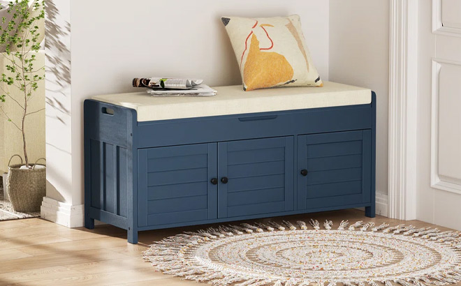 Red Barrel Entryway Bench with Hidden Shoe Storage