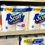 Scott 1000 Toilet Paper 12 Rolls Packs on the Shelf