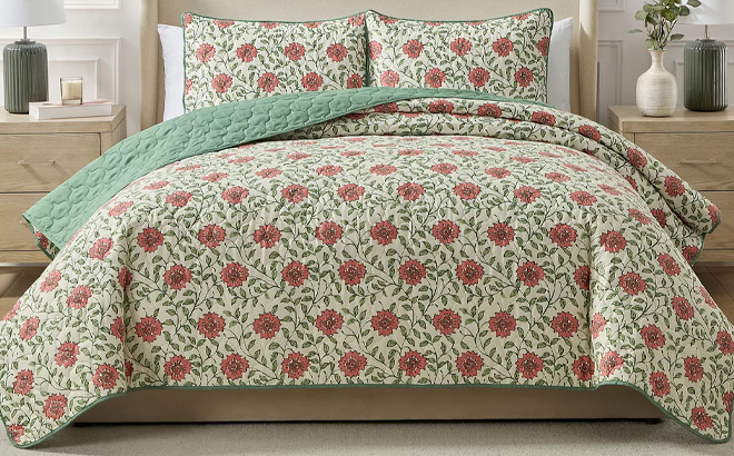 Seventh Studio Ezza Floral 2 Piece Quilt Set
