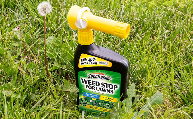 Spectracide Weed Stop For Lawns Concentrate