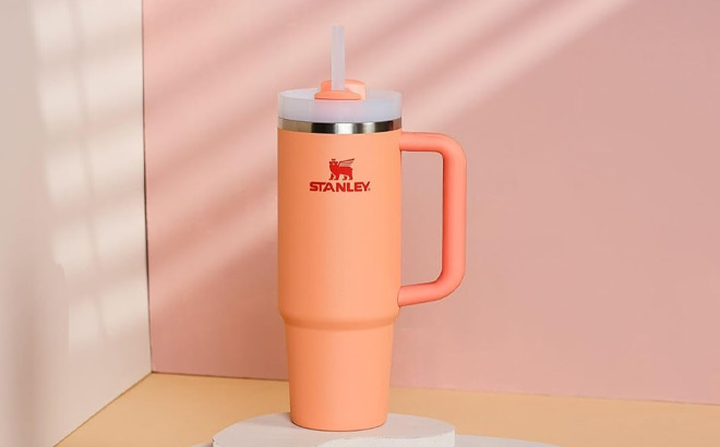 Stanley 30 Ounce Quencher Tumbler with Handle and Straw