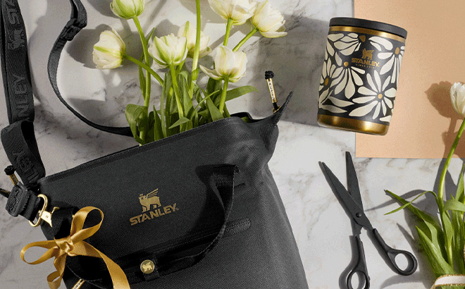 Stanley Adventure To Go Food Jar and The All Day Julienne Mini Cooler