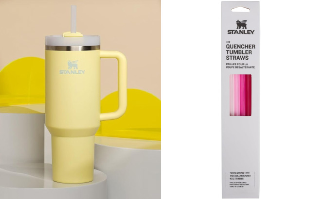 Stanley Quencher H2 0 Tumbler with Handle and Straw 40 oz Stanley Quencher H2 0 Tumbler with Handle and Straw 40 oz