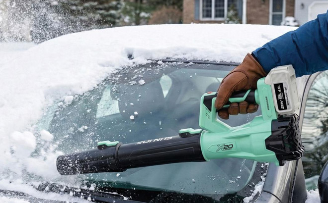 Sun Joe Leaf Blower