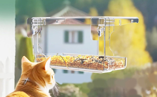 Sunally Window Bird Feeder