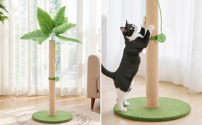 Tall Palm Tree Cat Scratcher
