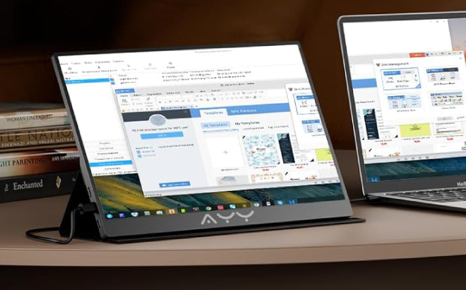 15 6 Inch Portable Monitor