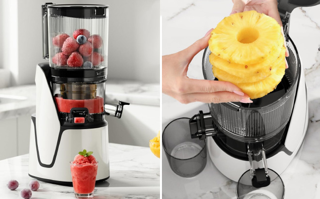 3 In 1 Cold Press Juicer 3 In 1 Cold Press Juicer