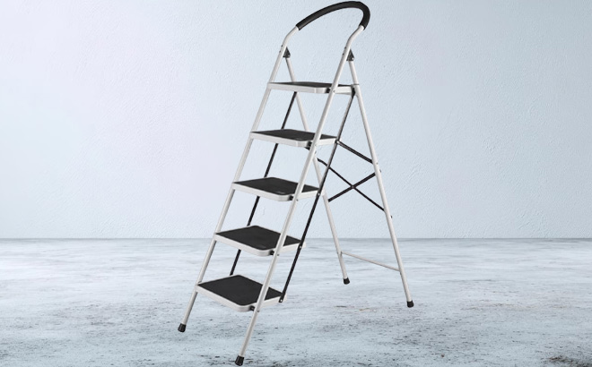 5 Step Ladder in the Room