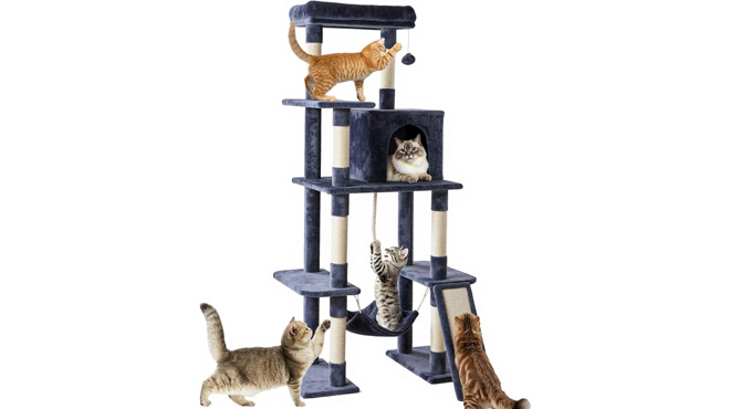 63 Inch Cat Tree Tower