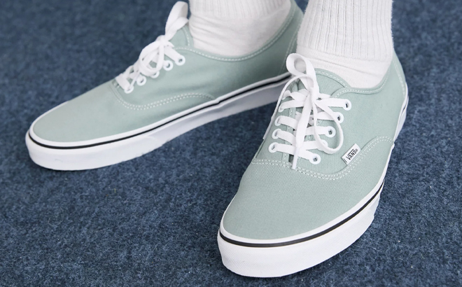 A Man Wearing VANS Authentic Skate Shoes A Man Wearing VANS Authentic Skate Shoes