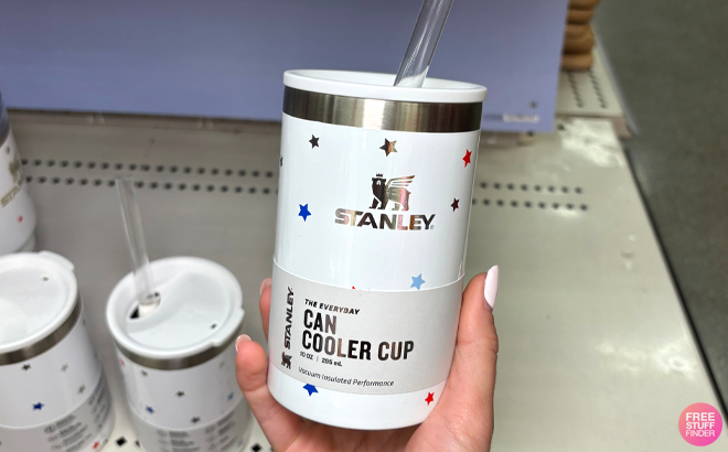 A Woman Holding Stanley 10 Ounce Standard Stainless Steel Can Chiller with Lid