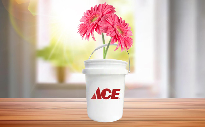 Ace Hardware Mini Bucket on the Table