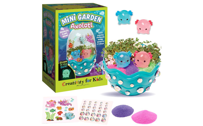 Axolotl Terrarium STEM Science Kit