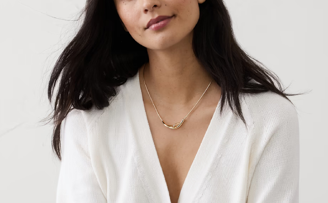 Banana Republic Factory Interlock Snake Chain Necklace