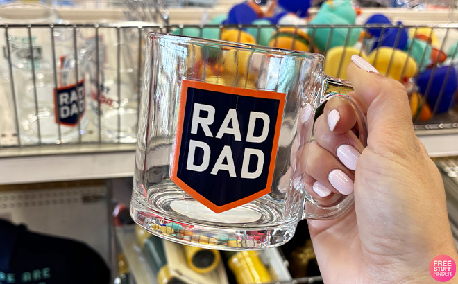 Bullseyes Playground Fathers Day 13oz Glass Mug